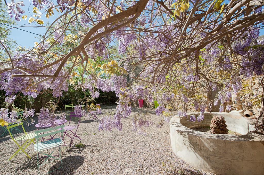 Le Manoir De Canet D'Aude Exterior foto